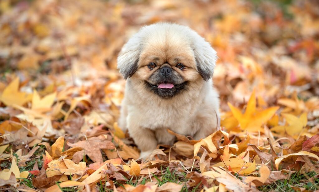 保育士が転職するのに最適な時期はいつですか？