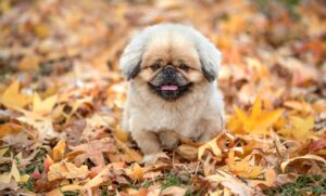 保育士が転職するのに適した時期はいつ？