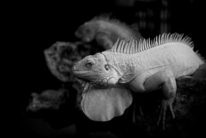 保育士を辞めてよかった理由とは？