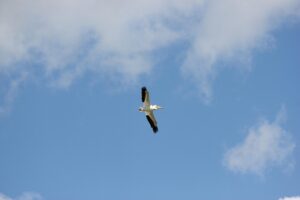 新卒保育士がすぐに転職するためのポイントは？