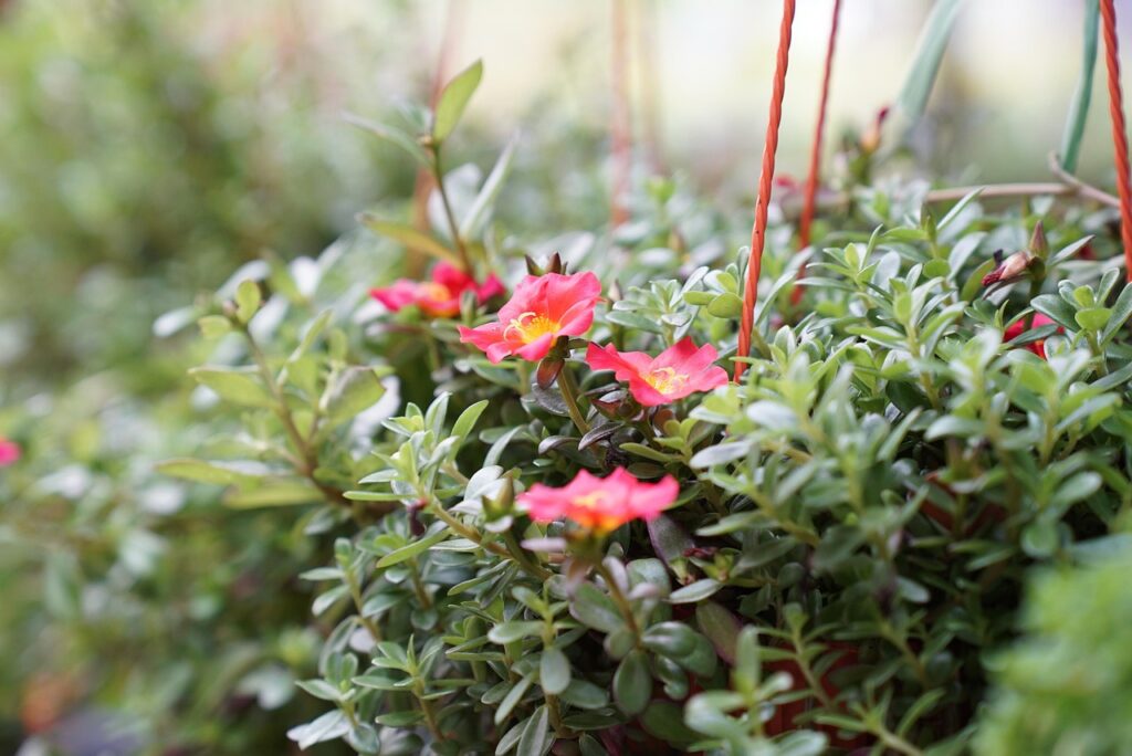 保育士から公務員への転職に必要な試験は？