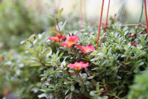 保育士が託児所への転職を成功させるためのポイントは？