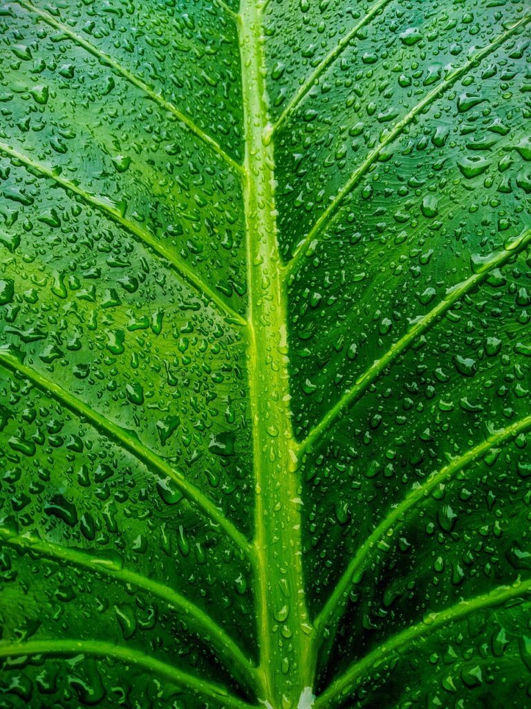 保育士の転職は何年続けるべきかの適切なタイミングとは？